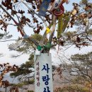 멋진산방 2025년 3월 9일 충북. 괴산. 사랑산.(647M).90차 산행. 이미지