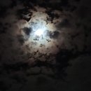 정선 휴 펜션 이미지