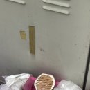 양지신발 이미지