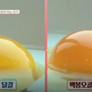 굿모닝베이커리 Daum카페