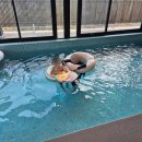 파인센트 풀빌라 펜션 이미지