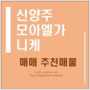 니케공인중개사사무소 이미지