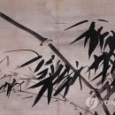미디어볼
