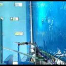 하이다이빙 체험 이미지