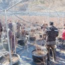 김인수농장 이미지