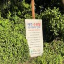 두부고을 | [ 원당 : 맛집 ] 꼬숩담백, 두부가 메인! 올터두부고을 솔직후기