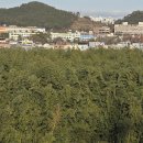 철새홍보관 네이버블로그