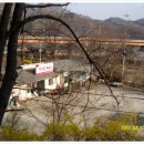 윗말 Daum카페