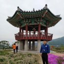 소양강분식 이미지