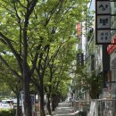 연우네일샵 | 부산 초티크 서면 여성 레이어드컷 미용실 내돈내산 후기