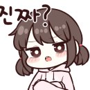 에쓰디 이미지