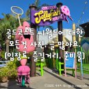 넓은 세상 인터넷 파크 | 골드코스트 씨월드에 대한 모든것 (입장료, 즐길거리, 준비물)