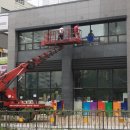 모닝글로리세종
