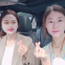 인셀덤서울본부안성