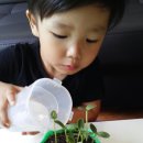 우유 아이스크림 만들기 이미지