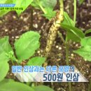 당하리농장 이미지