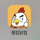 스테디컴 이미지