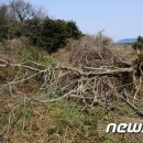 성읍리-1 이미지