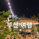 UR(김해시)-[식만로]-상-3 | 8월 여행 : 부산여행 (강가의아침 장어구이 + 비아조카페)