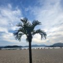 광암 | [공지] 경남 진동 광암해수욕장_ 샤워실, 주차까지 총정리_광암해수욕장 후기｜차박지추천!