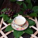 펜션이야기 이미지