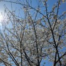 어진동_호수공원수변공원 이미지