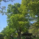 오림외동 네이버블로그