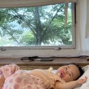 경주카라반스테이륜
