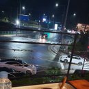 황토장어 이미지