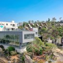 디에이치 이미지