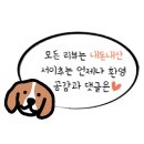 서울 광진구 나무호텔 내돈내산 숙박후기