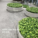 예그리나작은도서관 | [손기정도서관] &#39;책 속에 담긴 질문&#39;(feat. 예그리나)진행 리뷰