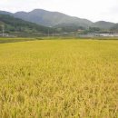 봉천마을 이미지