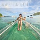 보라카이 현지 호핑투어 오라보라 예약 가격 비교 추천 후기