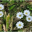 고려LPG충전소 이미지