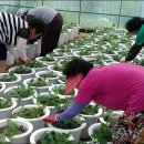 비래경로당 이미지