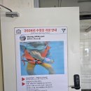 진해 신항 용원 오션뷰 카페 파바쿠찌 후기｜파스쿠찌×파리바게뜨 진해하버시티점 방문기 (블루콩 카페...