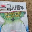 초롱무로.. 이미지