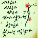 전부 이미지