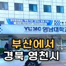 영남대학교영천병원 | 해운대에서 영천 영대병원까지 택시