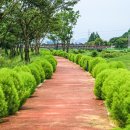 정동1교 이미지