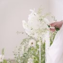 앤하우스 스튜디오 | (세인트)지지오티 더 하우스 스튜디오 촬영 후기
