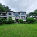 분당-246 이미지