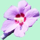 구례군토지면내동보건진료소 | 지리산둘레길11차·하동가탄-법하마을-구례군작은재-기촌마을·외곡리·피아골로-목아재-원기마을·내서...