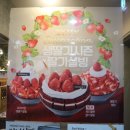 설빙 김해내외점 이미지