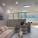 예쁜속눈썹