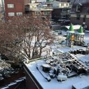 소나무PC방 | 사랑은 봄비처럼 이별은 겨울비처럼