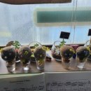 헤세드지역아동센터 이미지