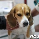 예서 동물병원 이미지