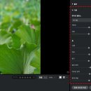 링크(LINK) PC CAFE | 사진 보정 이보토(Evoto) 사용 후기, 여러 장의 여행 기록 색감 통일하기